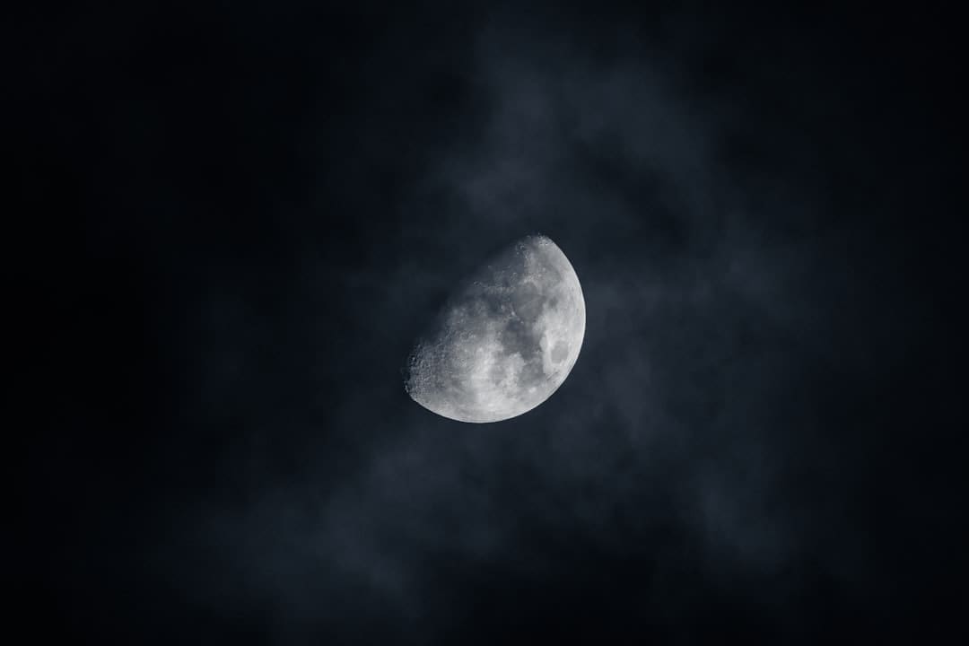 艺评丨常瑞芳:在国际的荒唐与日子的悲情中寻觅生命价值